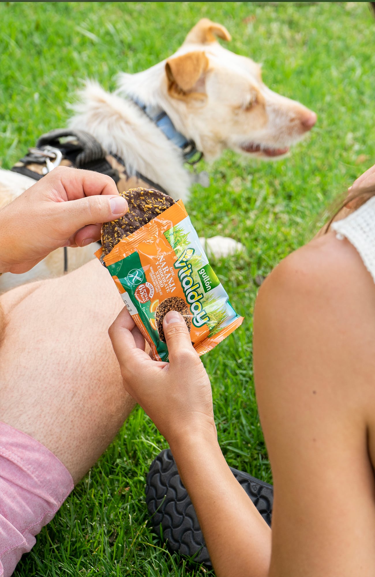 Tortitas Gullón Momento consumo 5