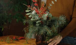 decoracion plantas de interior navidad