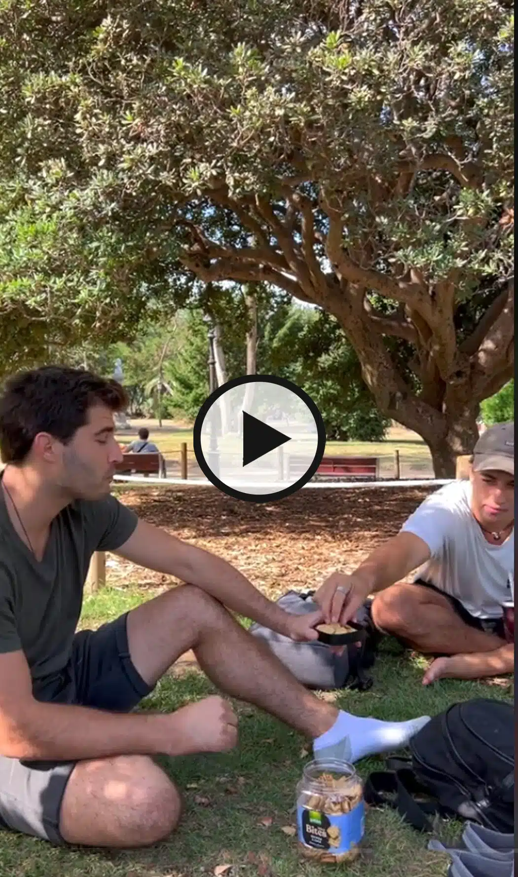 Probar mini bites quinoa y chia galletas gullon